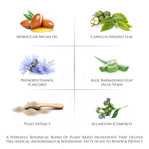 Age Defying Apple & Grape Stem Cell Rapid Eye Lifting Cream Powered by Bio Organica Technology
